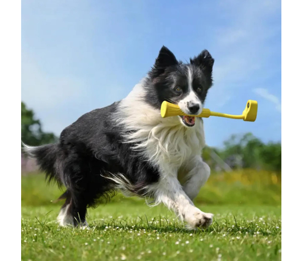 Insta360 GO 3 Fetch Stick - 1156350 - zdjęcie 5